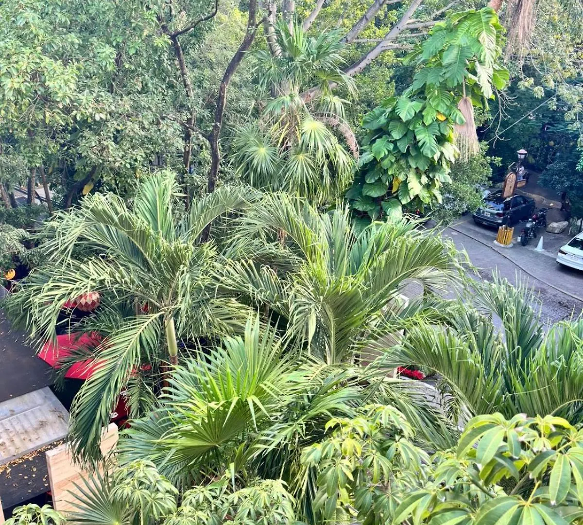 Tropical Escape On 38 Appartement Playa del Carmen